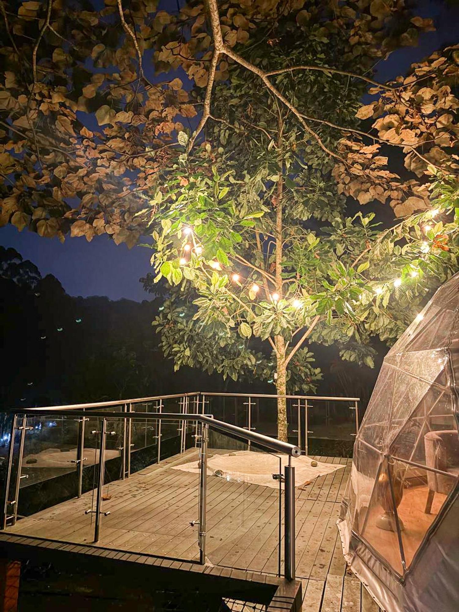 Riverside La Masia Ecohotel Quindio Eksteriør billede